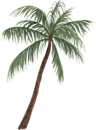 Watercolor Tropical Palm Tree