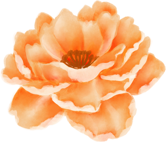 Watercolor Individual Orange Flower